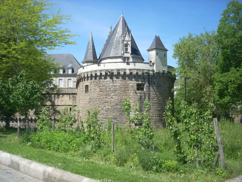 chambre-hotel-du-chateau-48 (2)